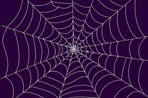 Halloween Background Intricate White Spiderweb on Deep Purple Background Halloween Design Texture Pattern photo