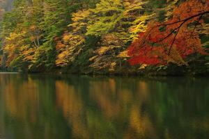 Nature Background Serene Autumn Lake Reflections Colorful Fall Foliage Trees and Still Water photo