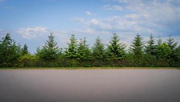 Nature Background Empty Asphalt Road with Lush Evergreen Trees and Fence under a Cloudy Sky photo