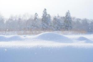 Nature Background Serene Winter Landscape Snowdrift with Falling Snow and Blurred Trees photo