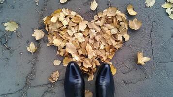 Heart shape made of autumn leaves and black shoes on concrete ground on transparent background photo