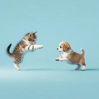 Kitten standing on hind legs facing a puppy jumping on a light blue background scene photo