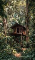Secluded treehouse retreat nestled within a lush tropical forest, offering serenity and escape amidst nature photo