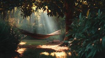 Hammock bliss basking in the sun kissed forest with tranquil and serene ambiance captured beautifully photo
