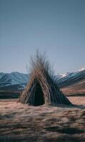 Rustic shelter standing strong in expansive landscape capturing resilience and solitude in nature's embrace photo