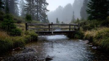 Mystical morning landscape with a bridge over a stream amidst trees and fog creating serenity photo