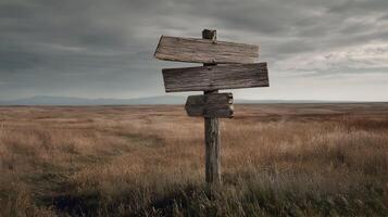 Weathered wooden signpost stands in a desolate field under a cloudy and dramatic sky creating mood photo
