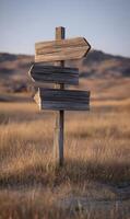 Wooden signpost in a field indicates directions towards different paths and destinations with nature photo