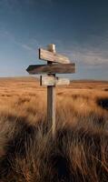 Weathered wooden signpost standing tall in a vast golden field beneath a clear blue sky offering direction photo