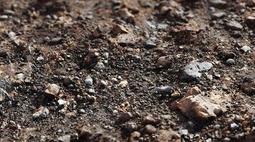 Detailed view of rocky ground surface showcasing earthy textures and mineral compositions in natural light photo