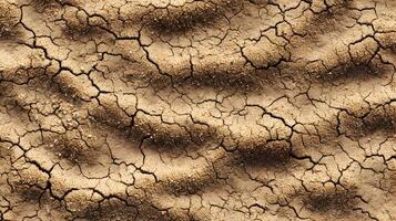 Dry cracked earth showcases the harsh realities of drought and climate change in arid landscapes photo