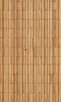 Detailed view of a natural bamboo fence showcasing its vertical arrangement and organic texture creating a warm and rustic backdrop photo