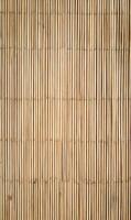 Natural bamboo texture background featuring vertical poles and horizontal binding providing organic pattern and warmth photo