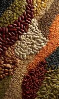 A colorful and diverse arrangement of assorted dried beans and legumes creates a visually appealing texture and pattern perfect for culinary themes photo