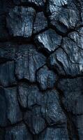 Intriguing textural interplay of charred wood revealing intricate patterns and emphasizing the transformative effects of fire's relentless touch photo