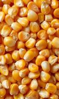 Golden kernels of corn create a rich and textured background representing harvest season and natural abundance, perfect for culinary creations photo