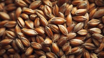 Close up of dried grains displaying their textures and colors creating an organic pattern perfect background photo