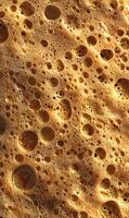 Close up texture of a porous surface with numerous circular holes creating a mesmerizing pattern of light and shadow revealing nature photo