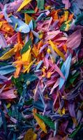 A Vibrant Kaleidoscope of Wood Shavings Displaying a Stunning Array of Colors and Textures for Art Projects photo