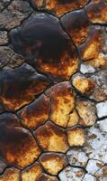 Stone pavement detail with shiny brown fluid creating an intriguing and textured visual experience photo