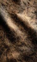 Detailed abstract pattern background showcasing rich textures and subtle tonal variations in brown hues photo