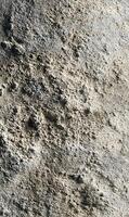 Abstract rugged texture showcasing natural patterns and raw surface with deep crevices for an organic feel earthy tone photo