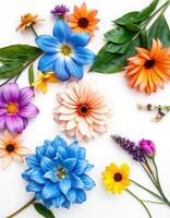 Colorful flowers arranged in a Soft White Background with Wildflower Highlights on a white background photo