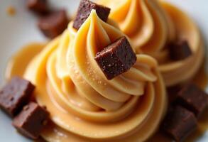 A close up of a bowl of caramel ice cream with chocolate chunks photo