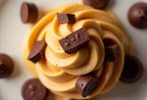 A white plate topped with a chocolate cake and some chocolate chips photo