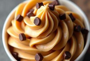 A bowl of peanut butter ice cream with chocolate chips photo