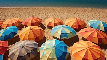 vibrant summer shadows photo