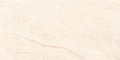 light board with a natural pattern on surface. bright wood texture background photo