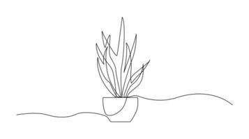 Continuous Line Drawing of a Houseplant in a Pot vector
