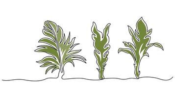 Continuous One Line Drawing of Three Tropical Leaves vector