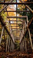 Rusty metal framework in autumn forest with colorful leaves creating warm atmosphere photo