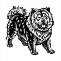 Chow Chow Walking vector