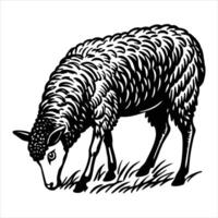 South Down Sheep vector