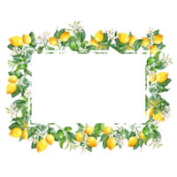 Rectangular frame with lush branches of lemons png