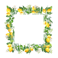 Square Banner with Lush lemon's branches and its bloom in aquarelle technique png