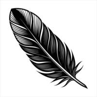 Feather Anatomy and Function vector