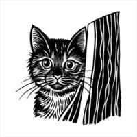 Cat peeking out from behind vector