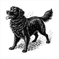 Wet Shaking Golden Retriever vector