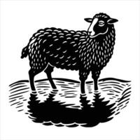 A sheep is standing in the water vector