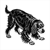 Gordon Setter Graphic vector