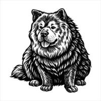 Chow Chow Standing Vectors