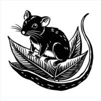 A small mouse is sitting vector