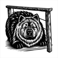 Chow Chow Breed vector