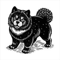 Chow Chow White Puppy vector