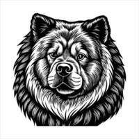 Chow Chow Head vector