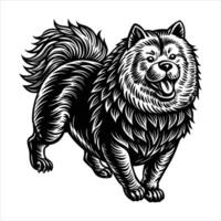 Chow Chow Park Vectors